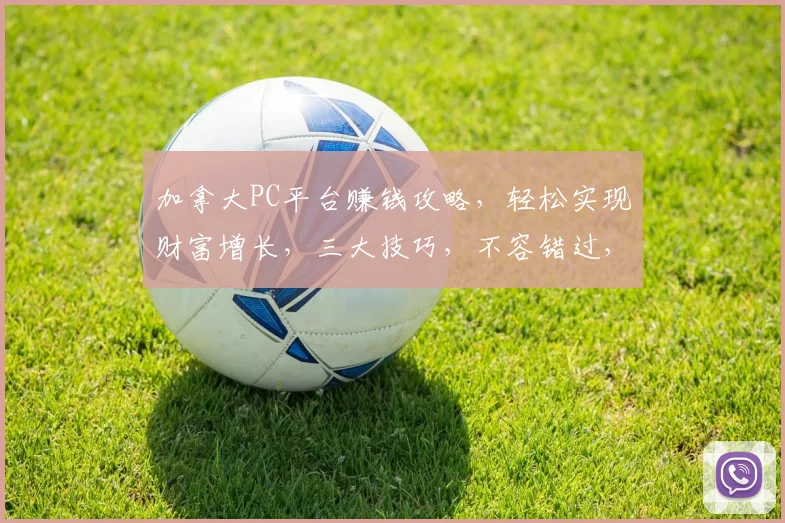 加拿大PC平台赚钱攻略，轻松实现财富增长，三大技巧，不容错过，速来学习