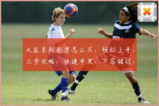大发系列彩票怎么买，轻松上手，三步攻略，快速中奖，不容错过，体验非凡